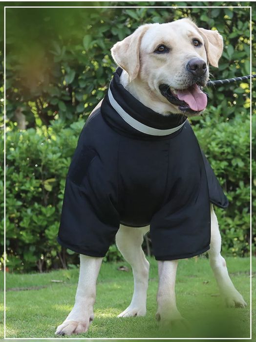 Куртка для собак