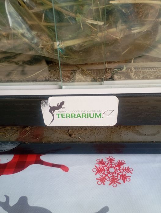 Продам Террариум