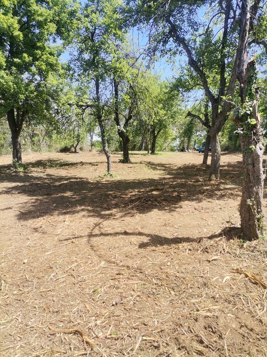 Продавам имот с. Голяма Желязна