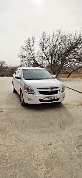 Coblt rangi oq yili 2017