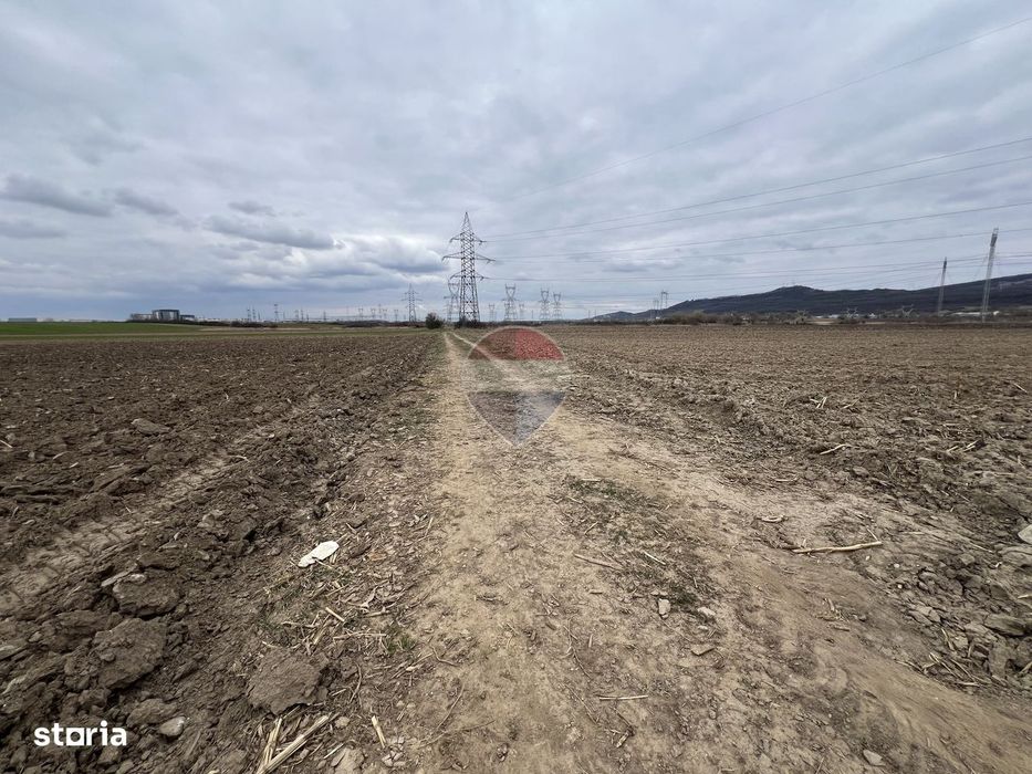 Teren de Vânzare 2.800 mp Bungard – Șelimbăr | Oportunitate Strategică