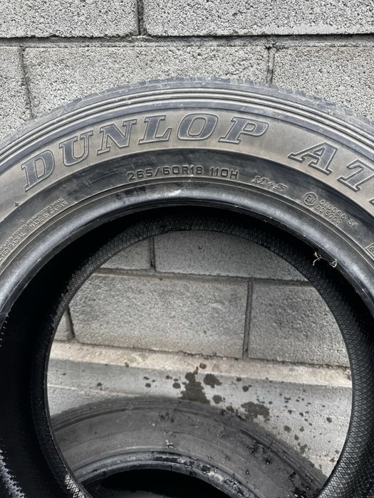 Шины dunlop at20