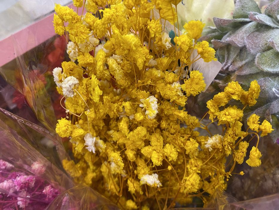 Сух гипсофил връзка