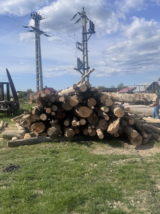 FAG vand lemn de foc