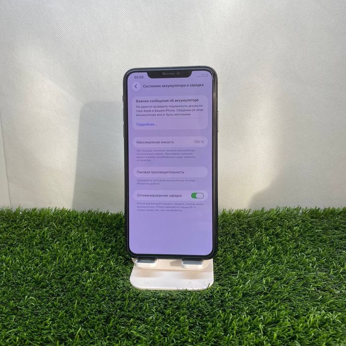 iPhone 11 Pro Max tinnigi
