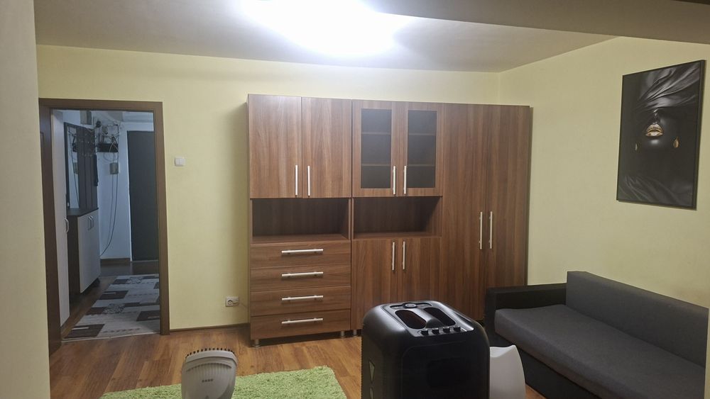 Apartament 1 camera  Micalaca