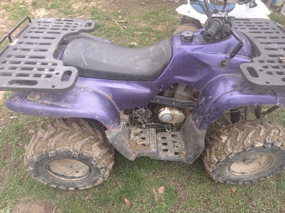 Atv Motortek inmatriculat