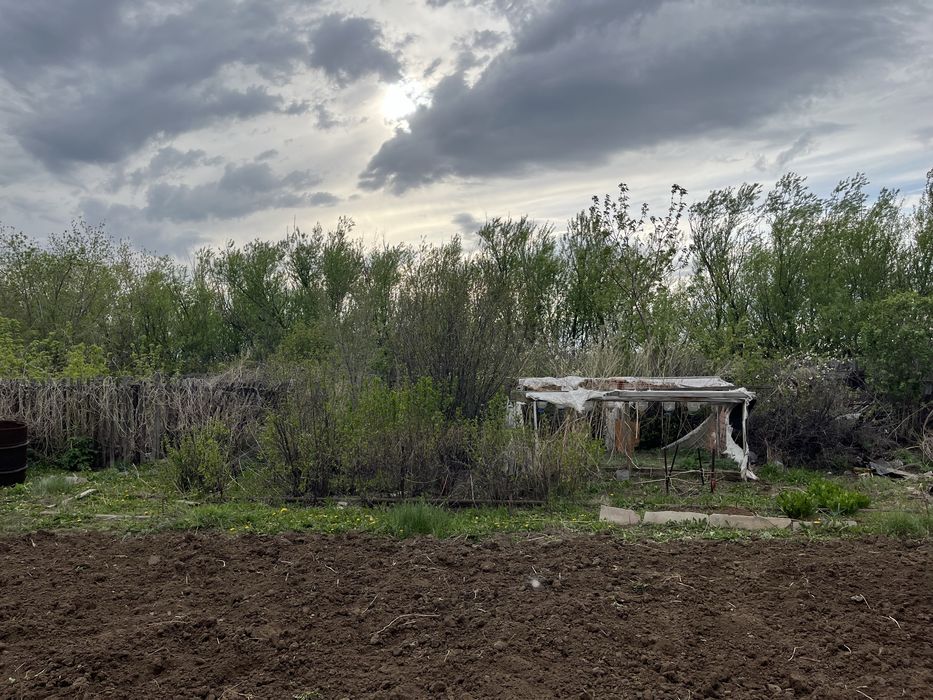 Продаю дачу  сортировка!