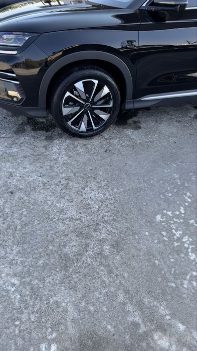 Byd champion smart