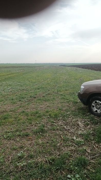 Închiriez teren 30 ha pretabil pentru parc fotovoltaic