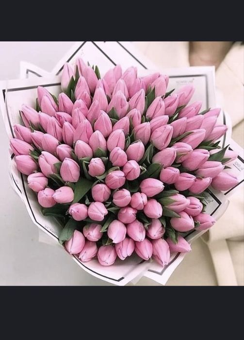 Тюльпаны предзаказ свежие, доставка