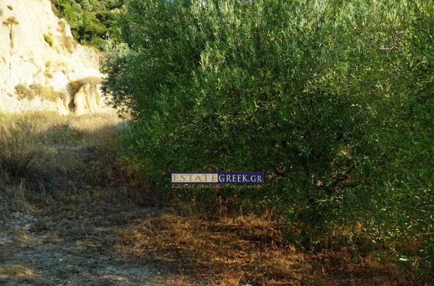 Продава се Парцел в Пловдив, Филипово - 9069 кв.м за 37 €/кв.м - Снимка #5