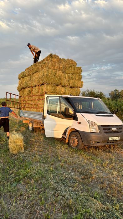 Коневоз перевозка животных