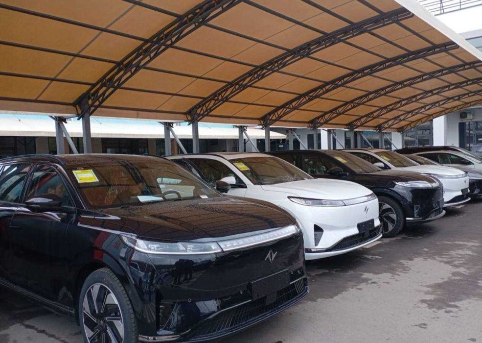 Dongfeng 008 max