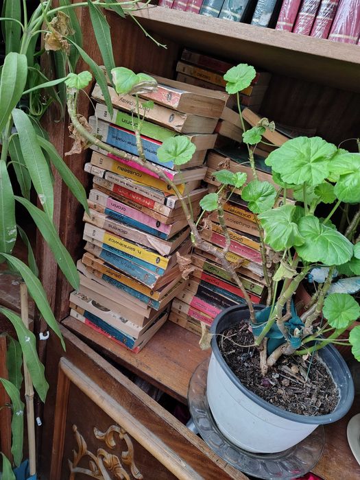 Cărți în stare bună