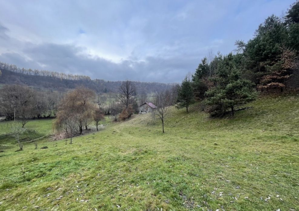 DE VÂNZARE – CASĂ + TEREN + PASUNE in Sighetul Marmatiei