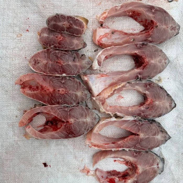 Baliq балик рыба сотилади sotiladi sazan сазан Талсталоб talstalob