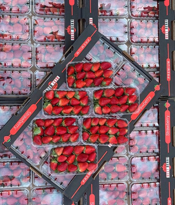 Клубника Египет.