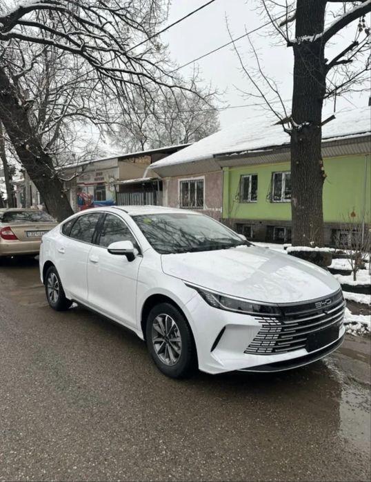 BYD Destroyer 05, 2025