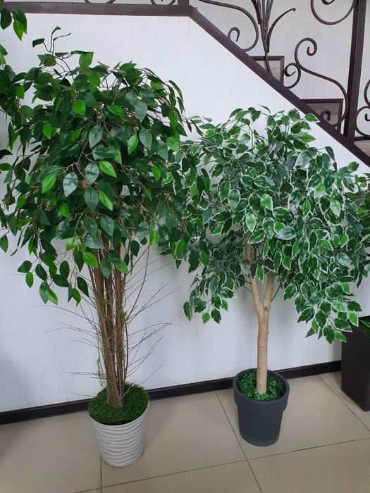 Продам искуственые деревья