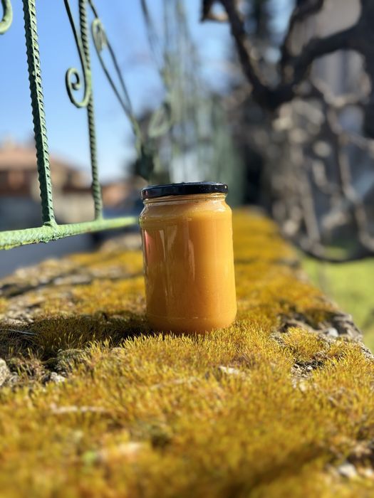 Натурален домашен пчелен и манов мед – директно от пчелар