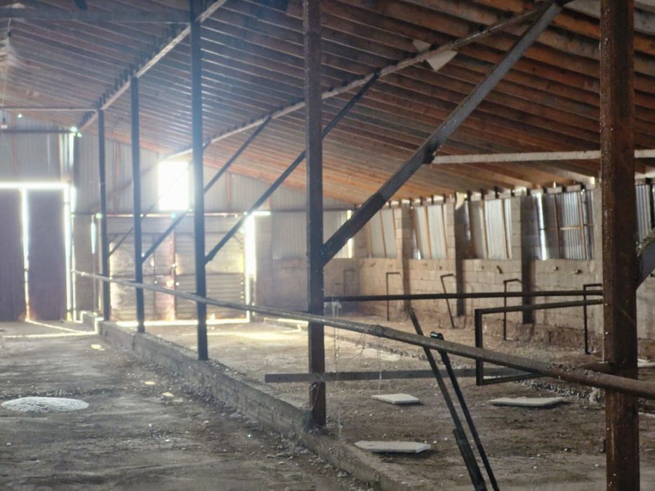 Готовый завод шампиньонов 6000соток