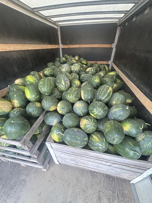 De vanzare pepene verde si galben