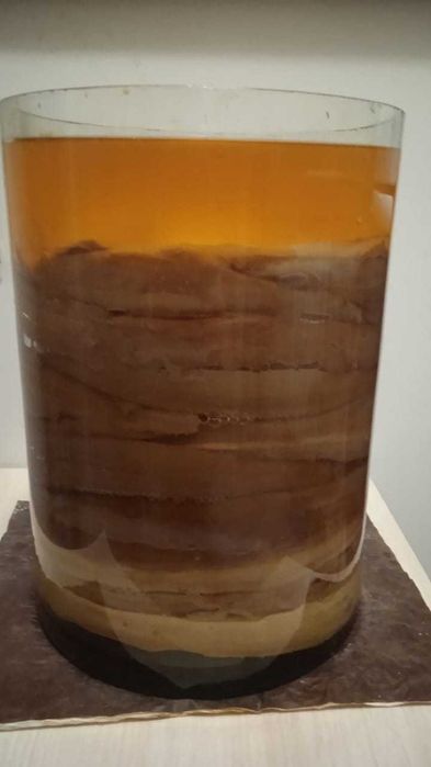 Чайный гриб домашний