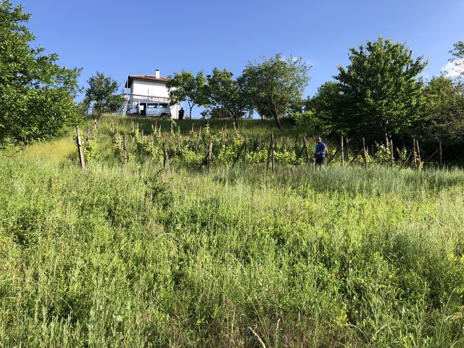 Продава се Парцел в с. Разбойна, Област Търговище - 901 кв.м за 10 €/кв.м - Снимка #2