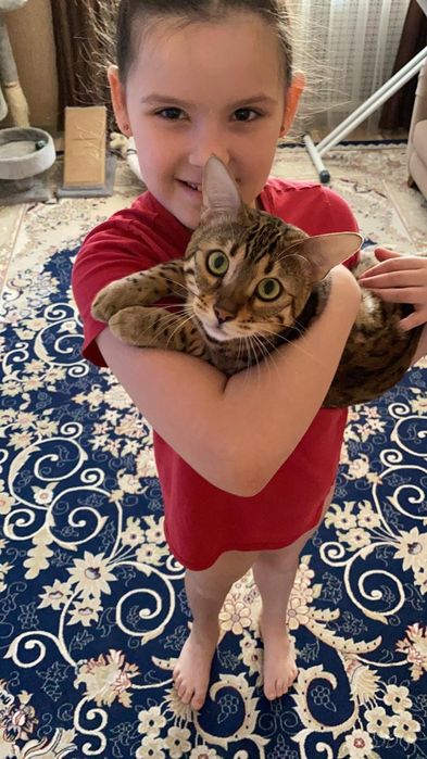 Минилеопард у вас дома!