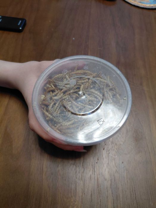 Сушеные личинки для рептилий и грызунов