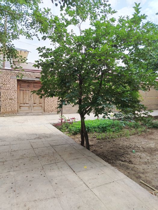 Surochni havli mufurushem 4 sutuq havli adres rajabaminba