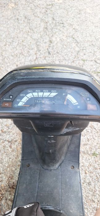 Скутер Honda Tact 50