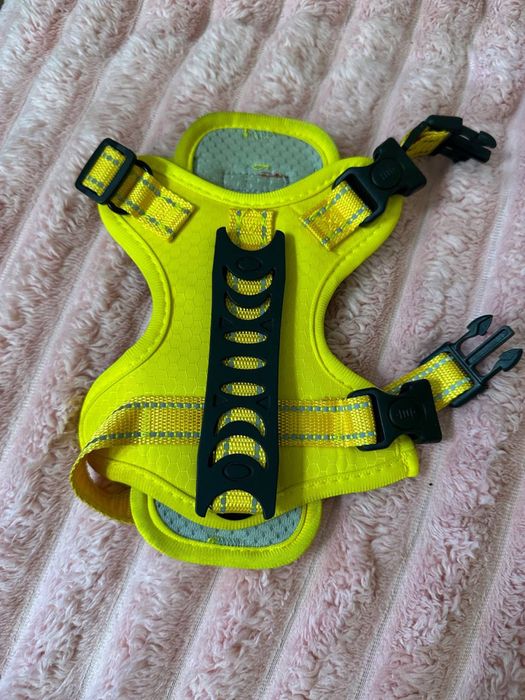 Товары для собак