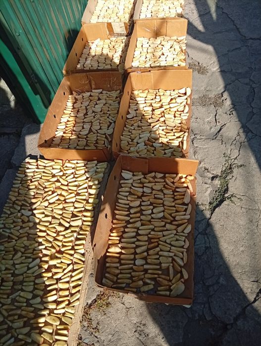 Сушёные яблоки с яблока Апорт