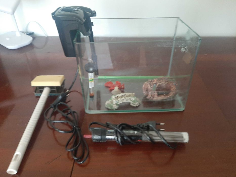 Vand acvariu cu toate accesoriile incluse in stare buna