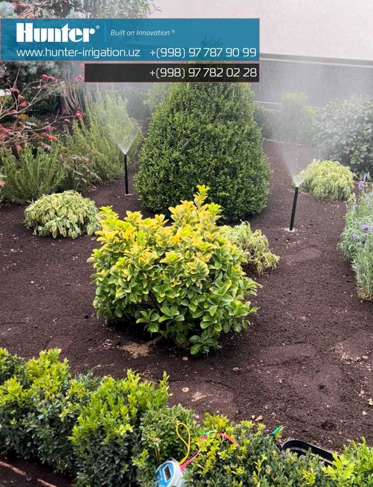 Автоматический полив газона