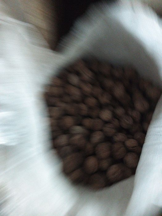 Продается грецкий орех,