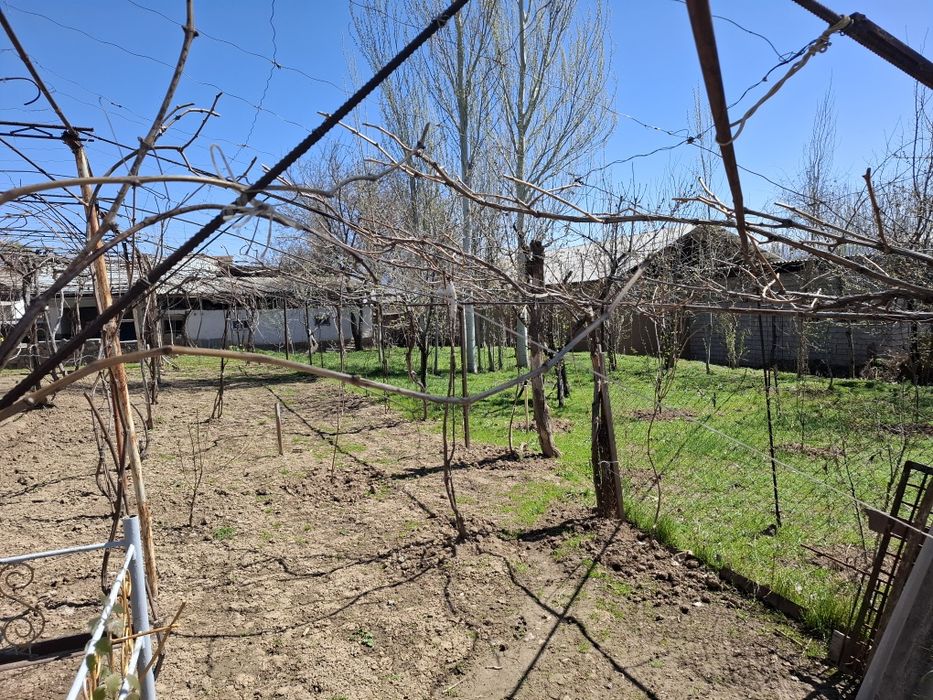 8 sotik yer oqtosh sanatoryaga 3 km uzolida yer sotiladi