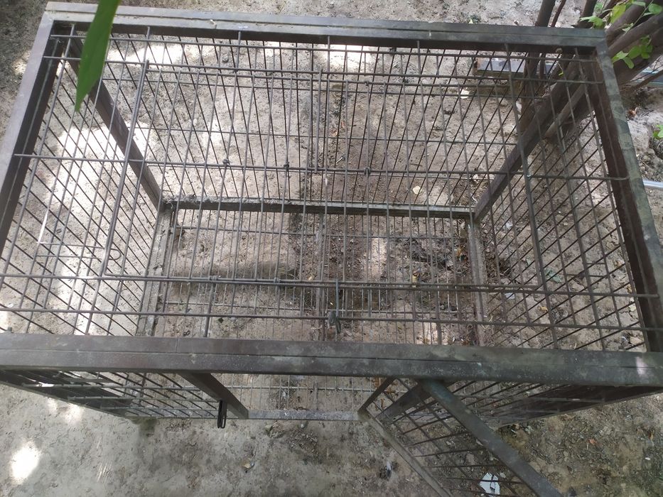 Qafas. Volyer. Yuqori va old tomondan ikkita eshikli