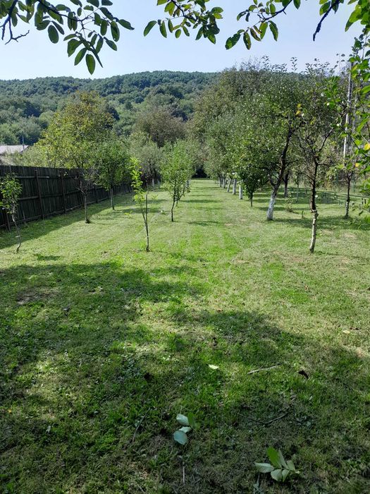 Vand casa Valcanesti-PH