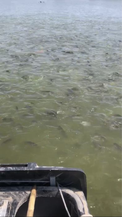 Продается рибыхоз готовый бизнес