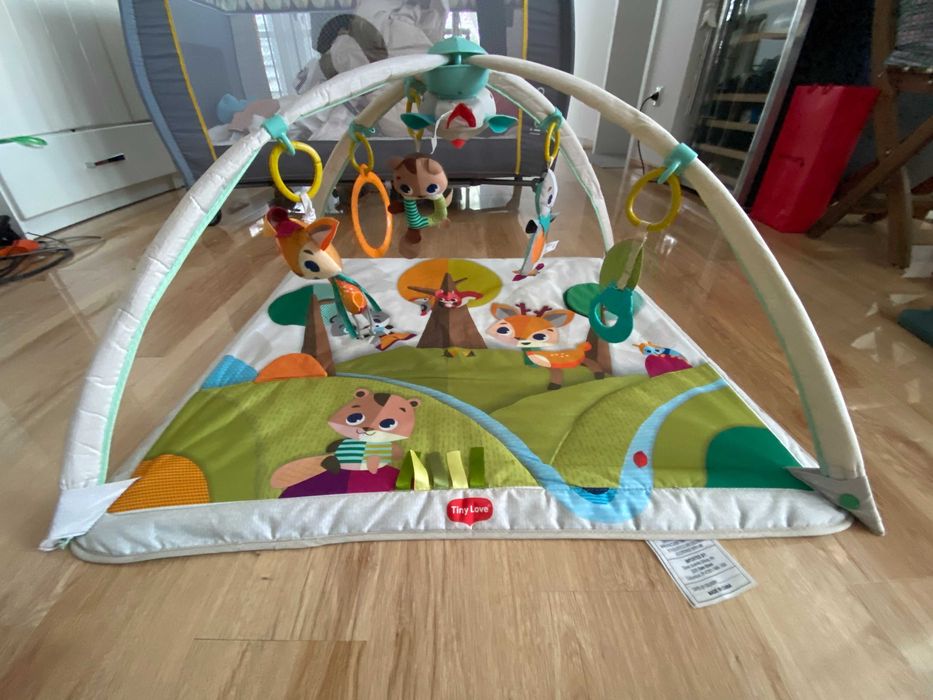 Активна гимнастика Tiny Love