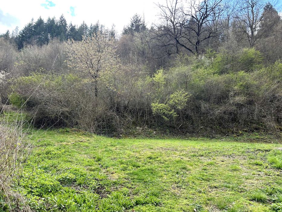 Продава се Парцел в София, Дървеница - 945 кв.м за 34 €/кв.м - Снимка #4