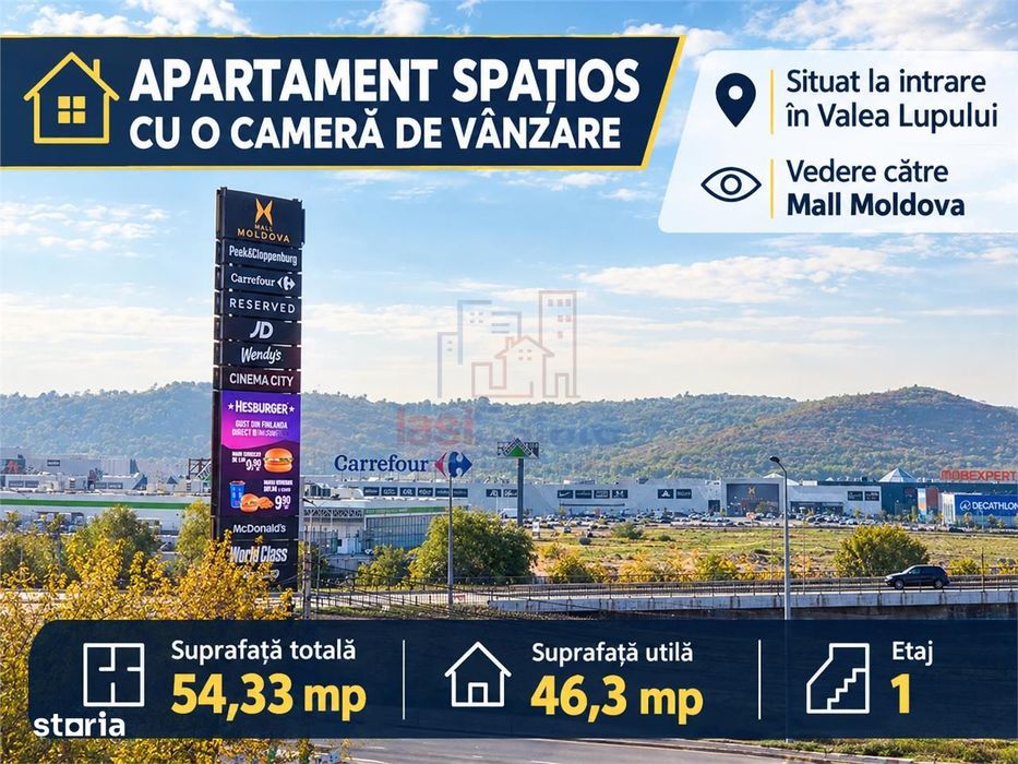 Apartament spatios cu o camera de vanzare in Valea Lupului