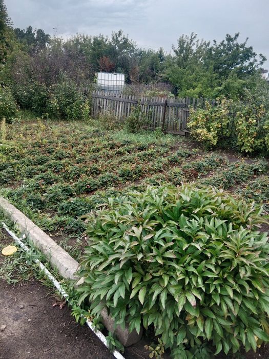 Продам дачу пкст краснопартизанское