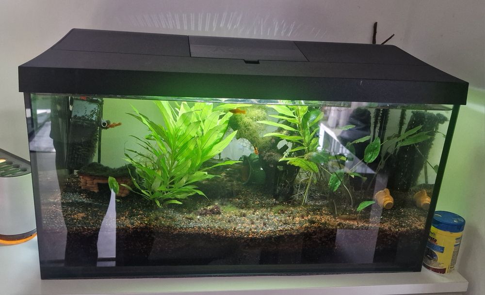 Acvariua aquael 60