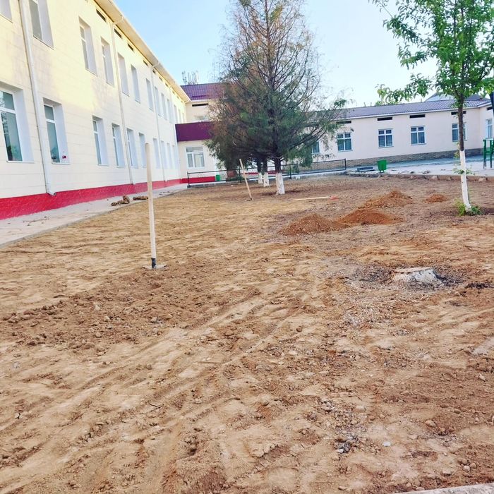 Автополив и газон