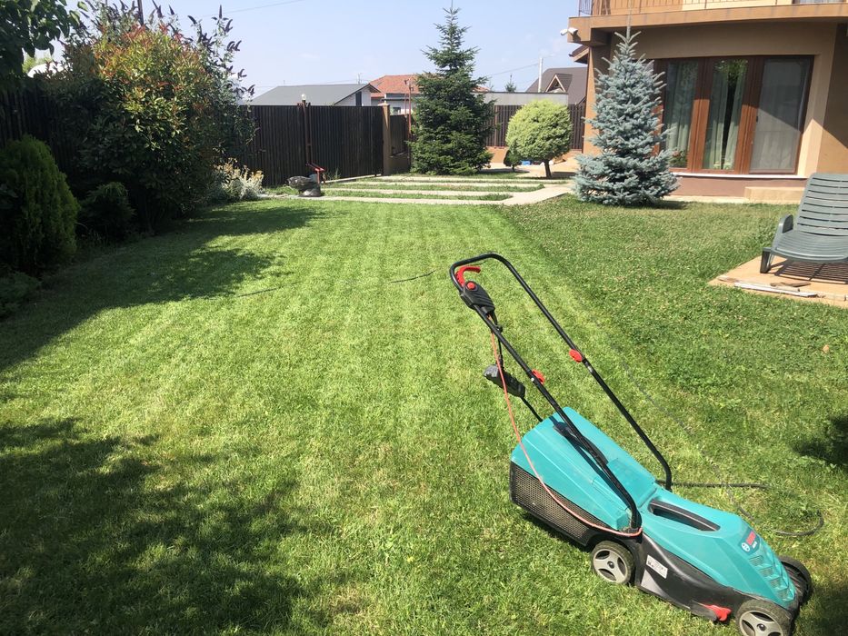 Întreținere grădină