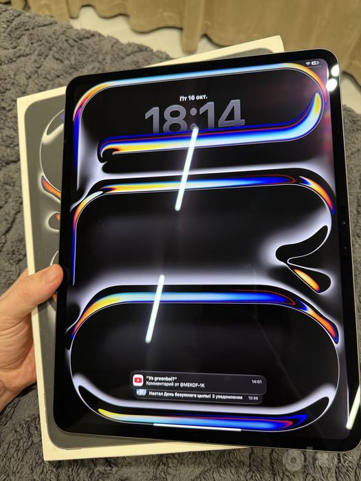 iPad Pro 13 inch M4 (512 GB)
